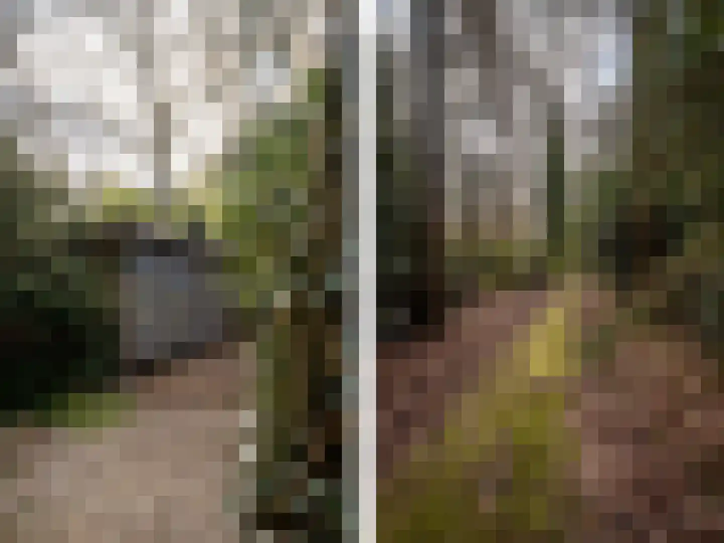 Hagedisweg 1 A Epe thumbnail 37