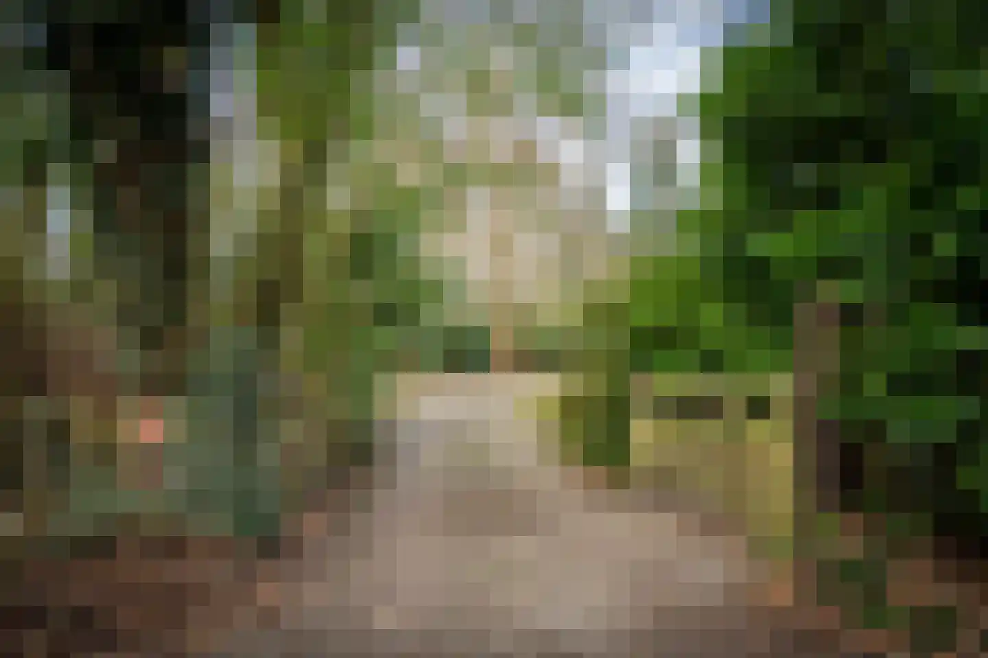 Hagedisweg 1 A Epe thumbnail 38