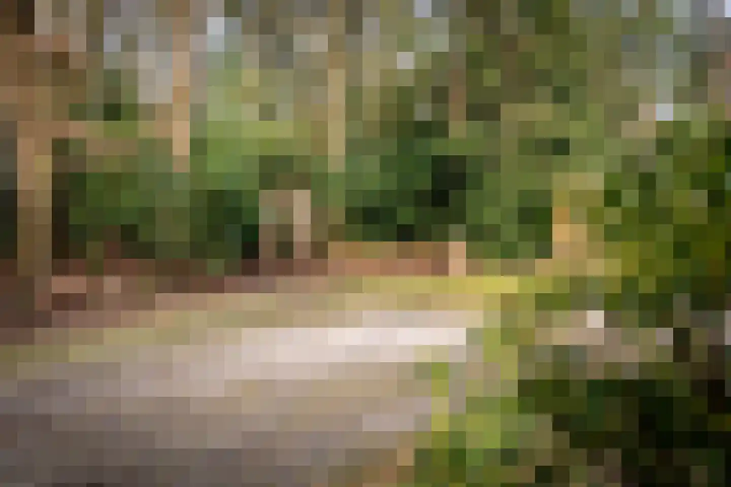 Hagedisweg 1 A Epe thumbnail 39