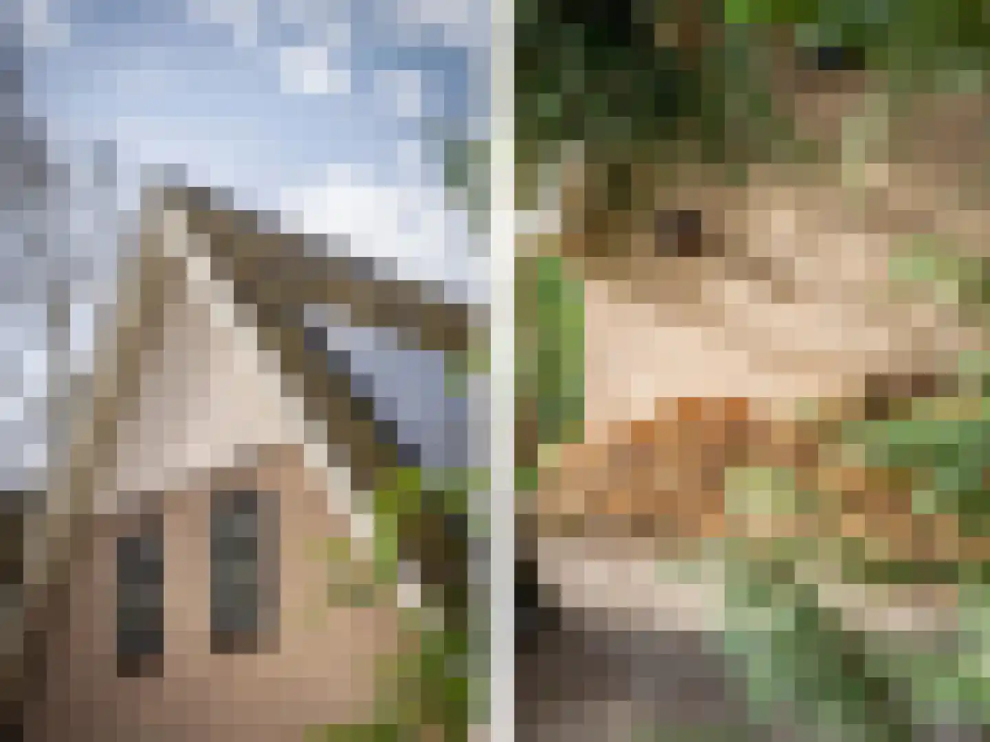 Hagedisweg 1 A Epe thumbnail 40