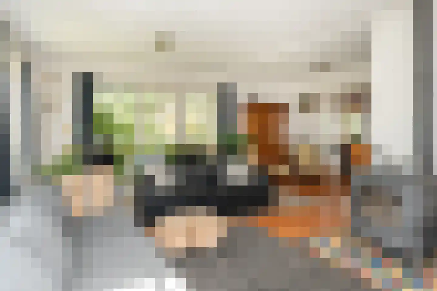 Hagedisweg 1 A Epe thumbnail 5