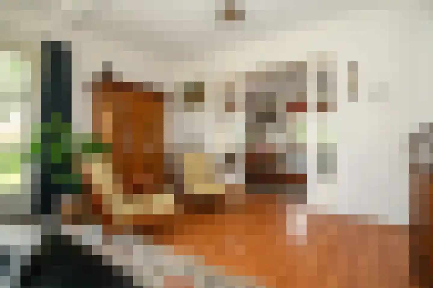 Hagedisweg 1 A Epe thumbnail 8