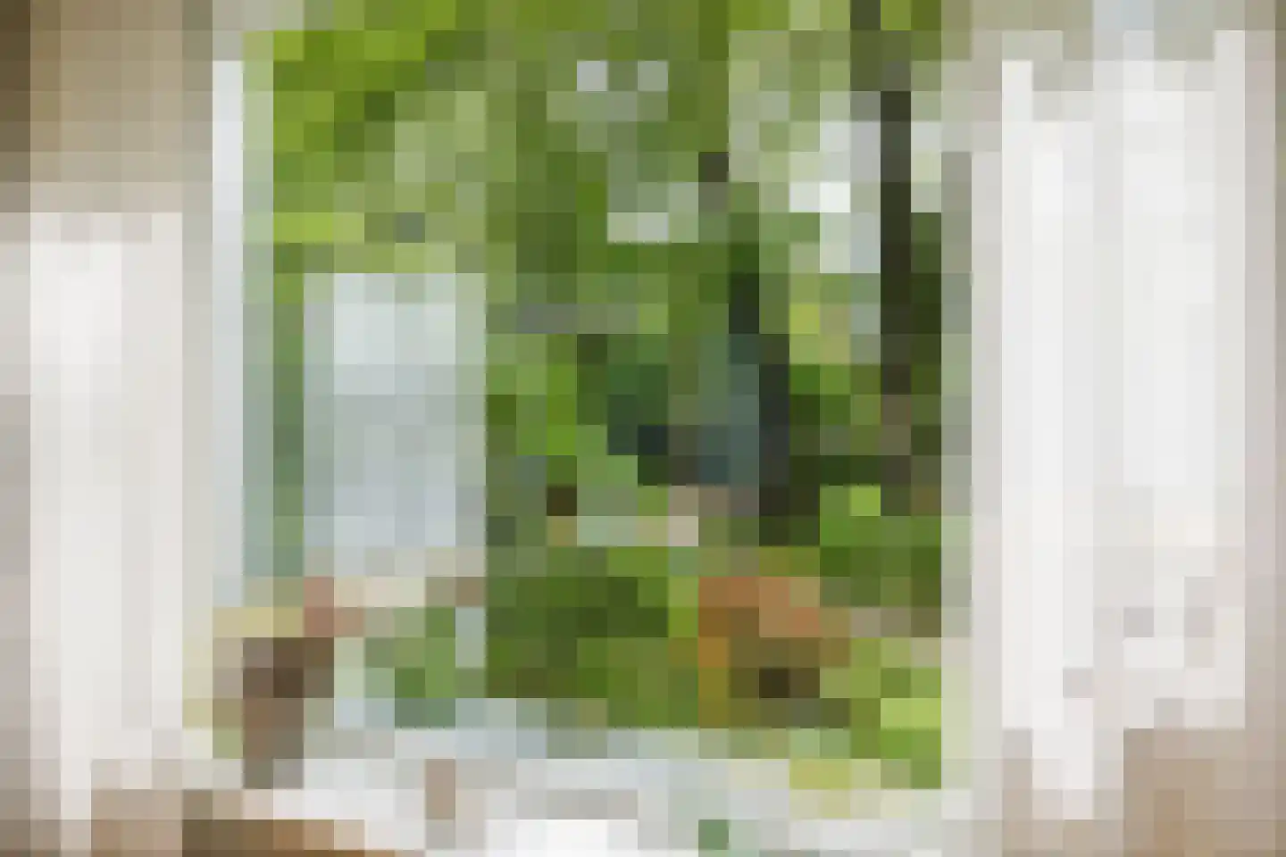 Hagedisweg 18 Epe thumbnail 10