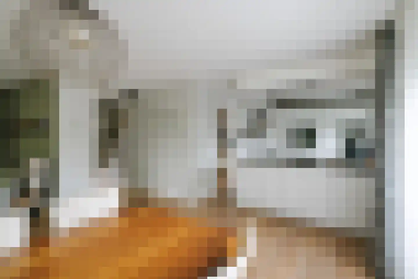 Hagedisweg 18 Epe thumbnail 13