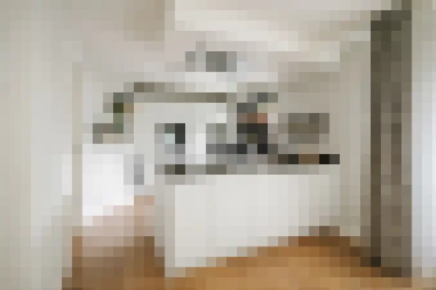 Hagedisweg 18 Epe thumbnail 14