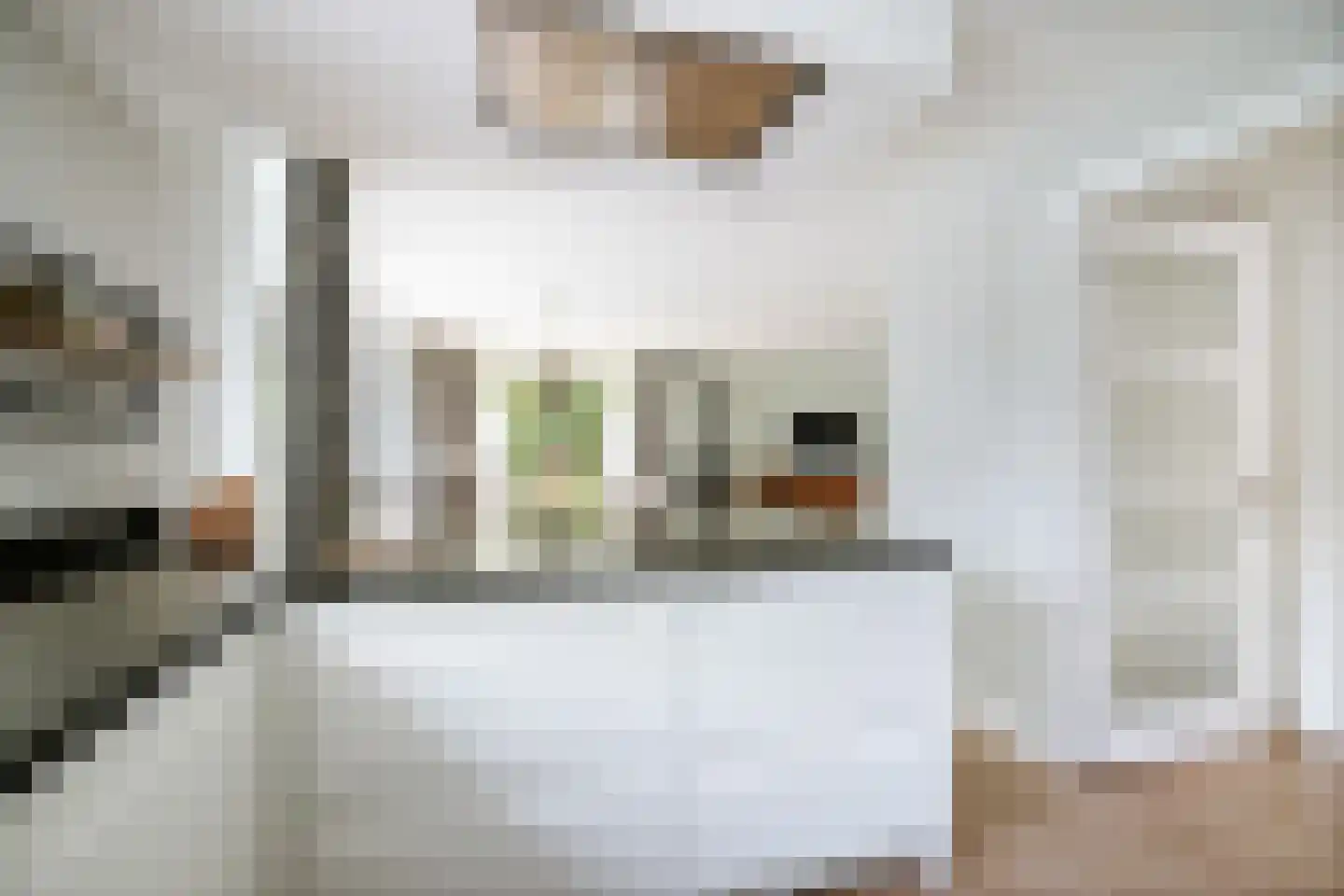 Hagedisweg 18 Epe thumbnail 16