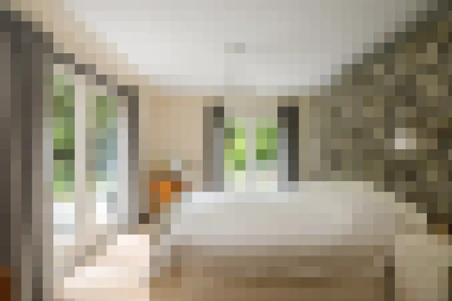 Hagedisweg 18 Epe thumbnail 17