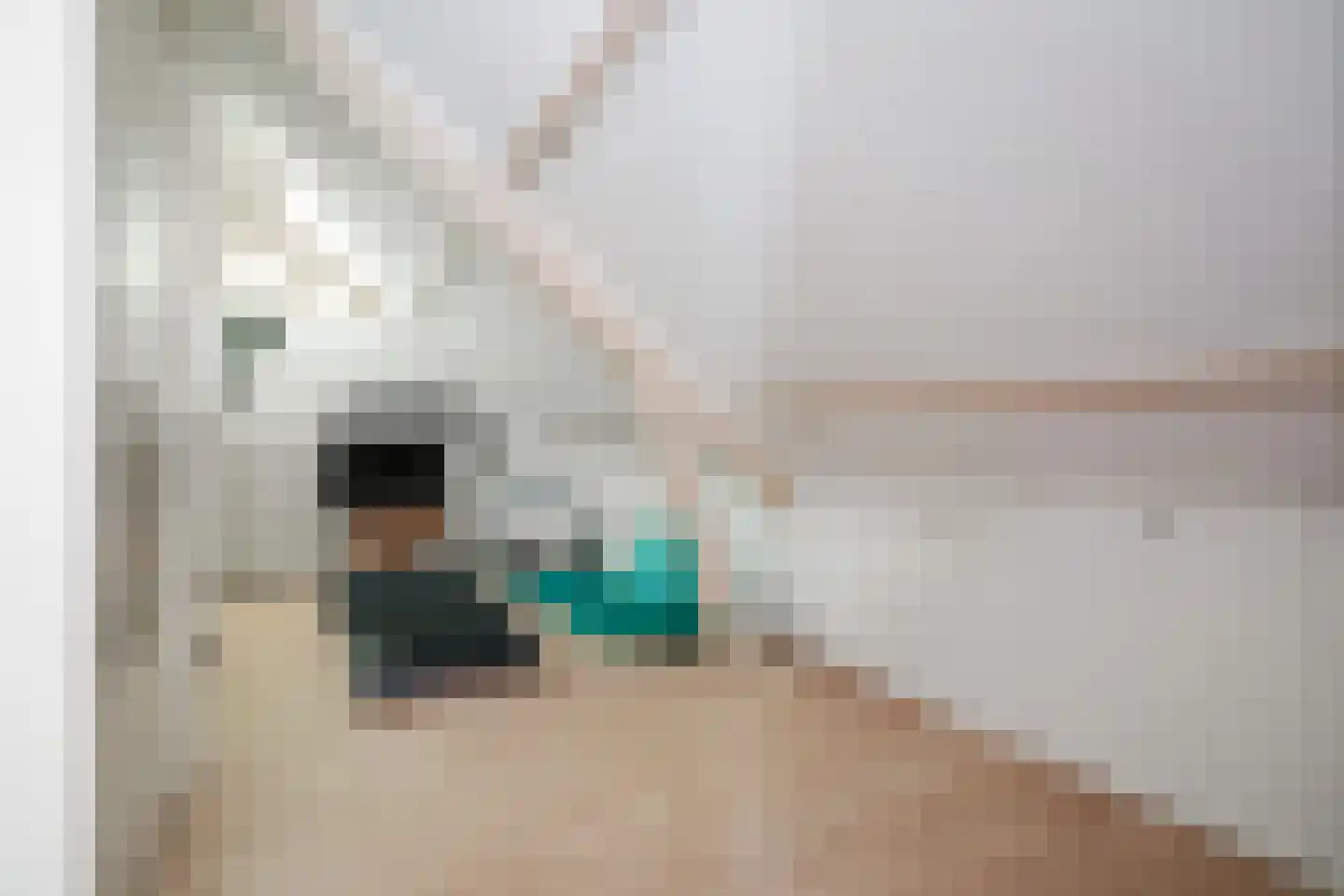 Hagedisweg 18 Epe thumbnail 31