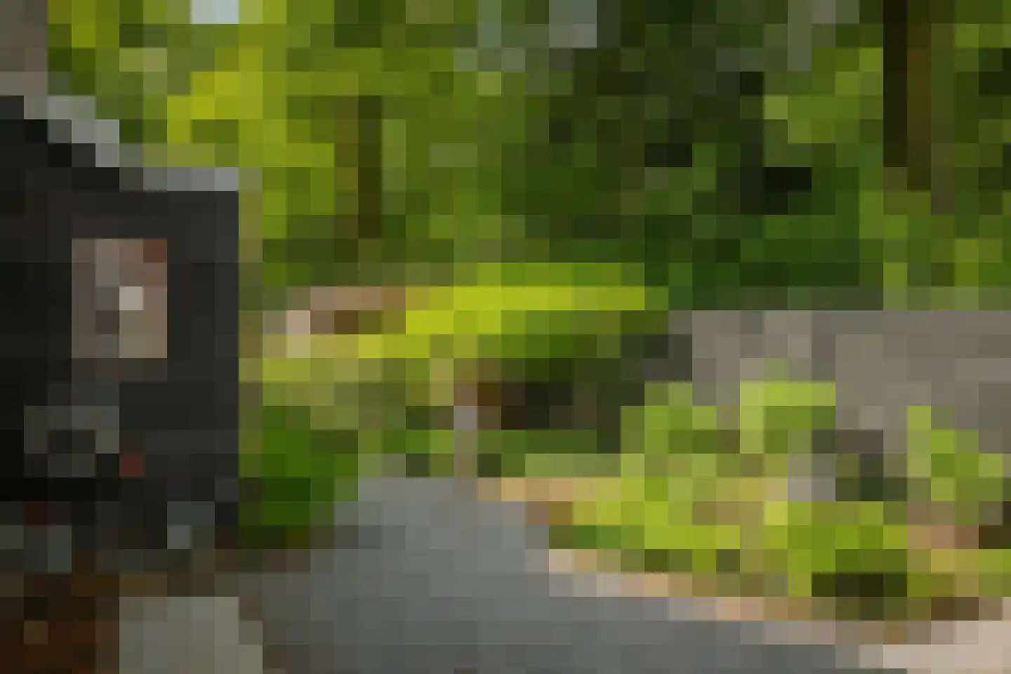 Hagedisweg 18 Epe thumbnail 33