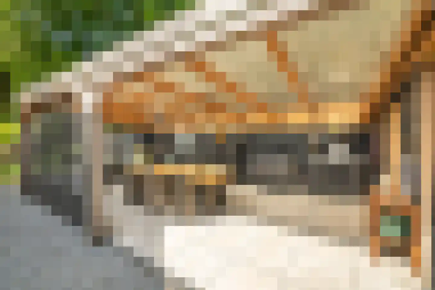 Hagedisweg 18 Epe thumbnail 34