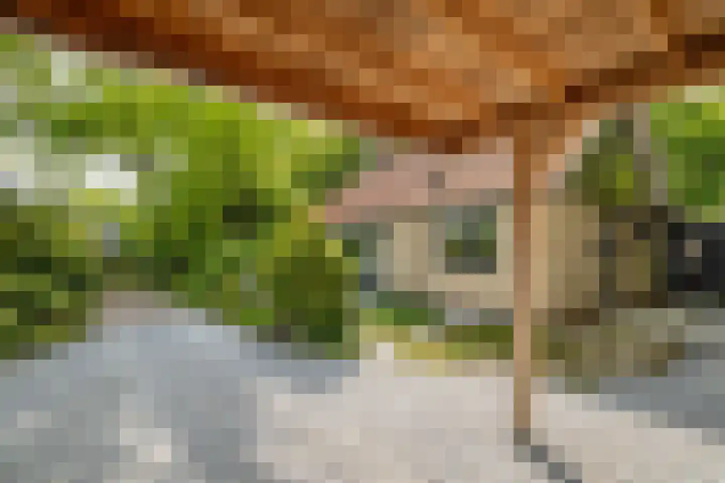Hagedisweg 18 Epe thumbnail 36