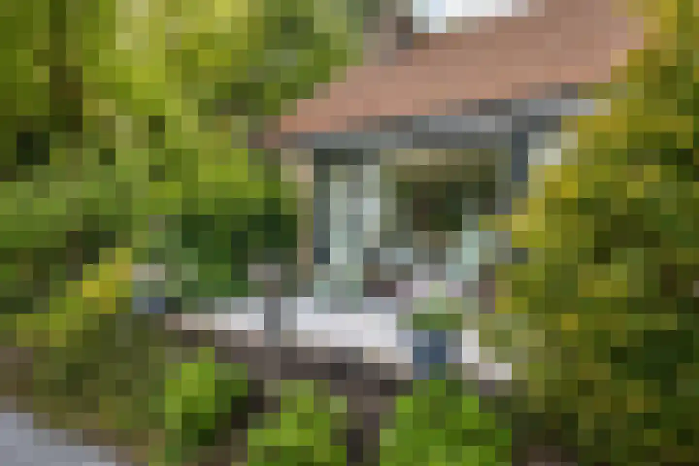 Hagedisweg 18 Epe thumbnail 37