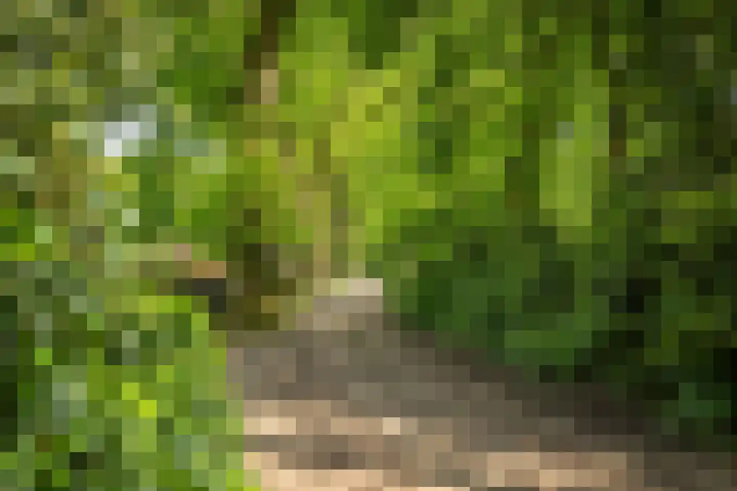 Hagedisweg 18 Epe thumbnail 38