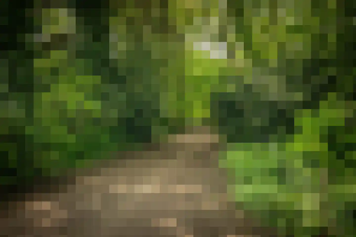 Hagedisweg 18 Epe thumbnail 39
