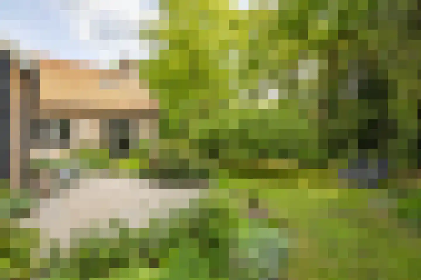 Hagedisweg 18 Epe thumbnail 4