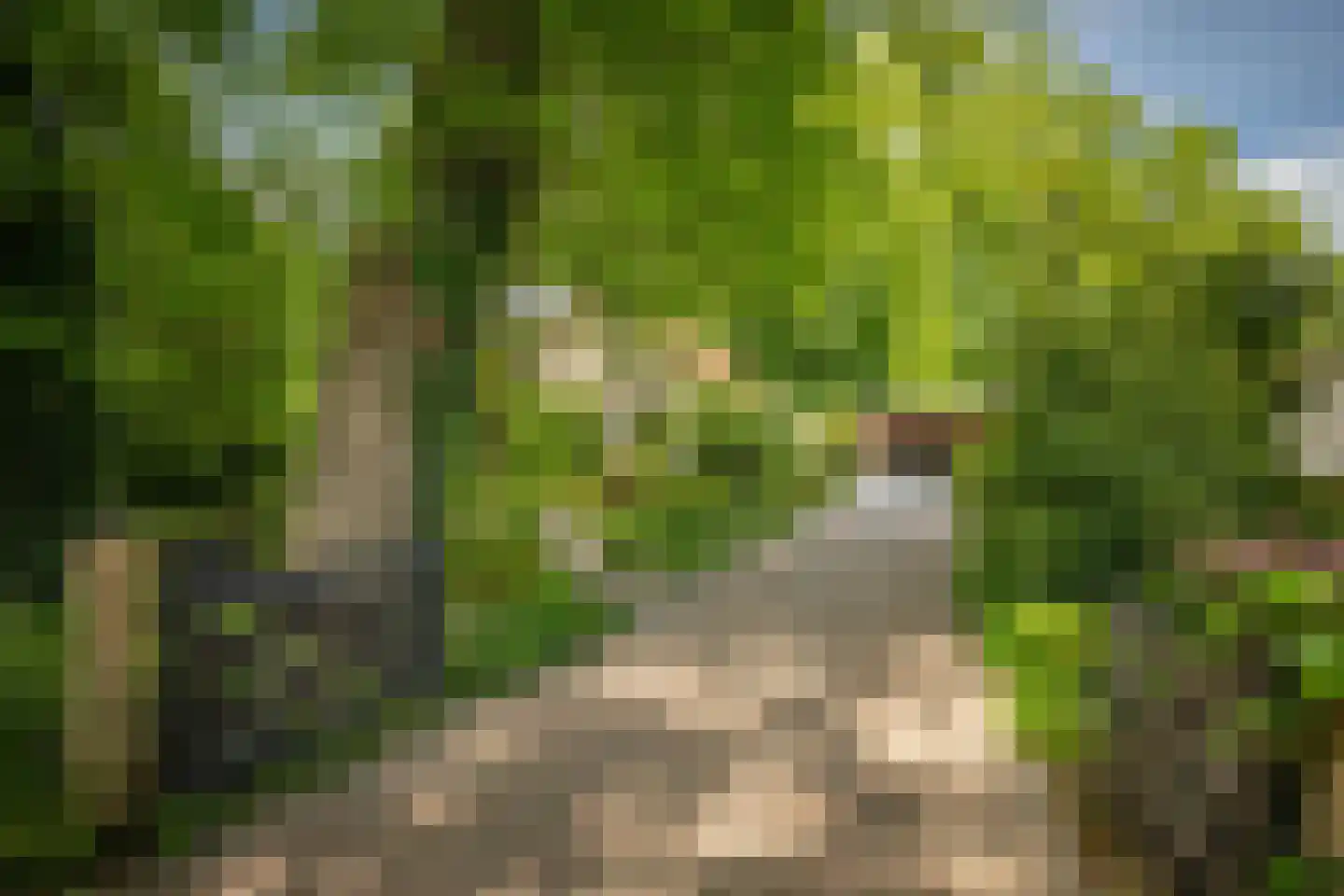 Hagedisweg 18 Epe thumbnail 40