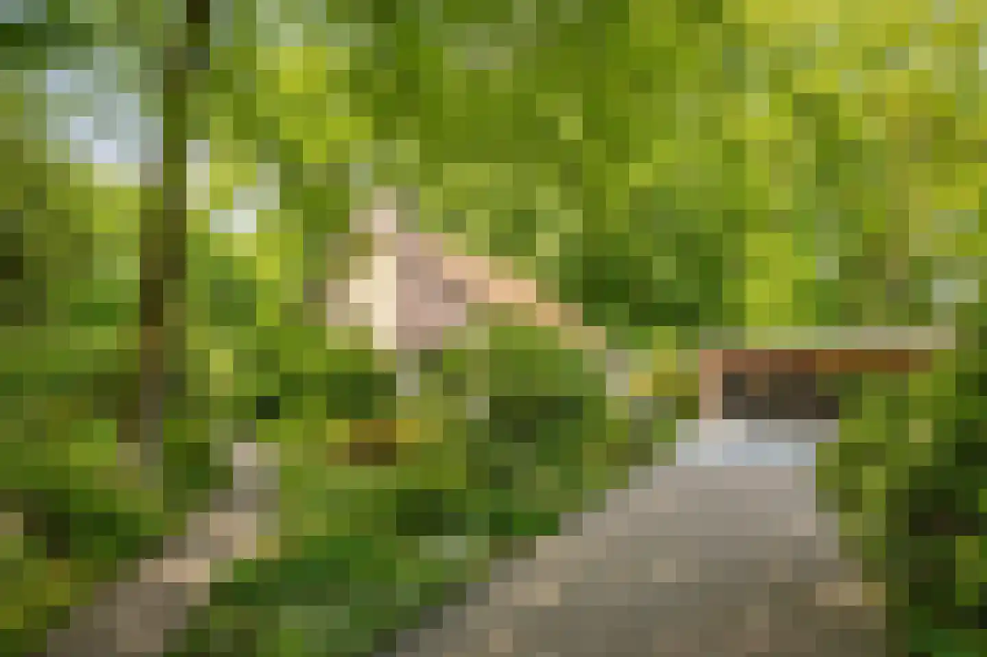 Hagedisweg 18 Epe thumbnail 41