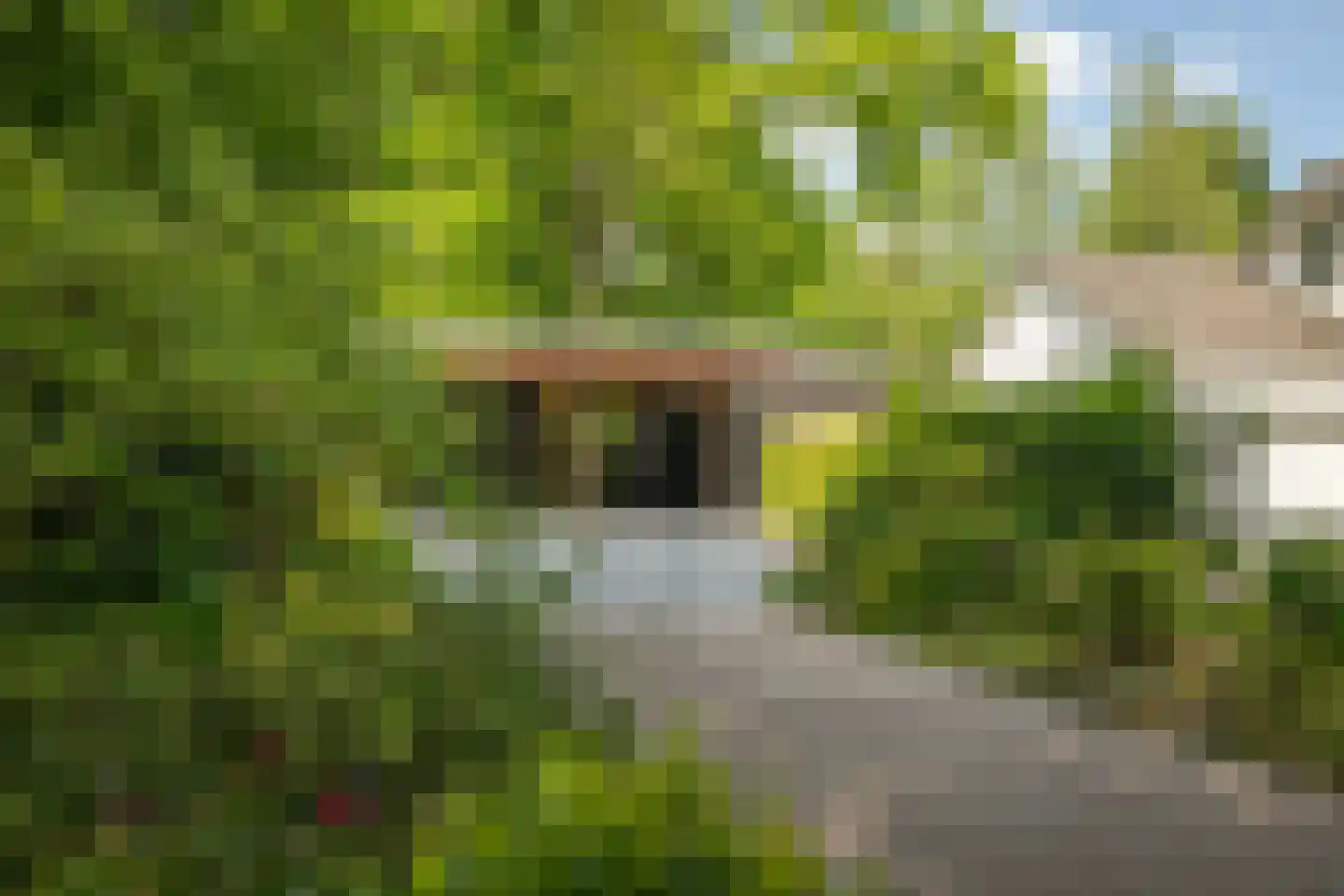 Hagedisweg 18 Epe thumbnail 42