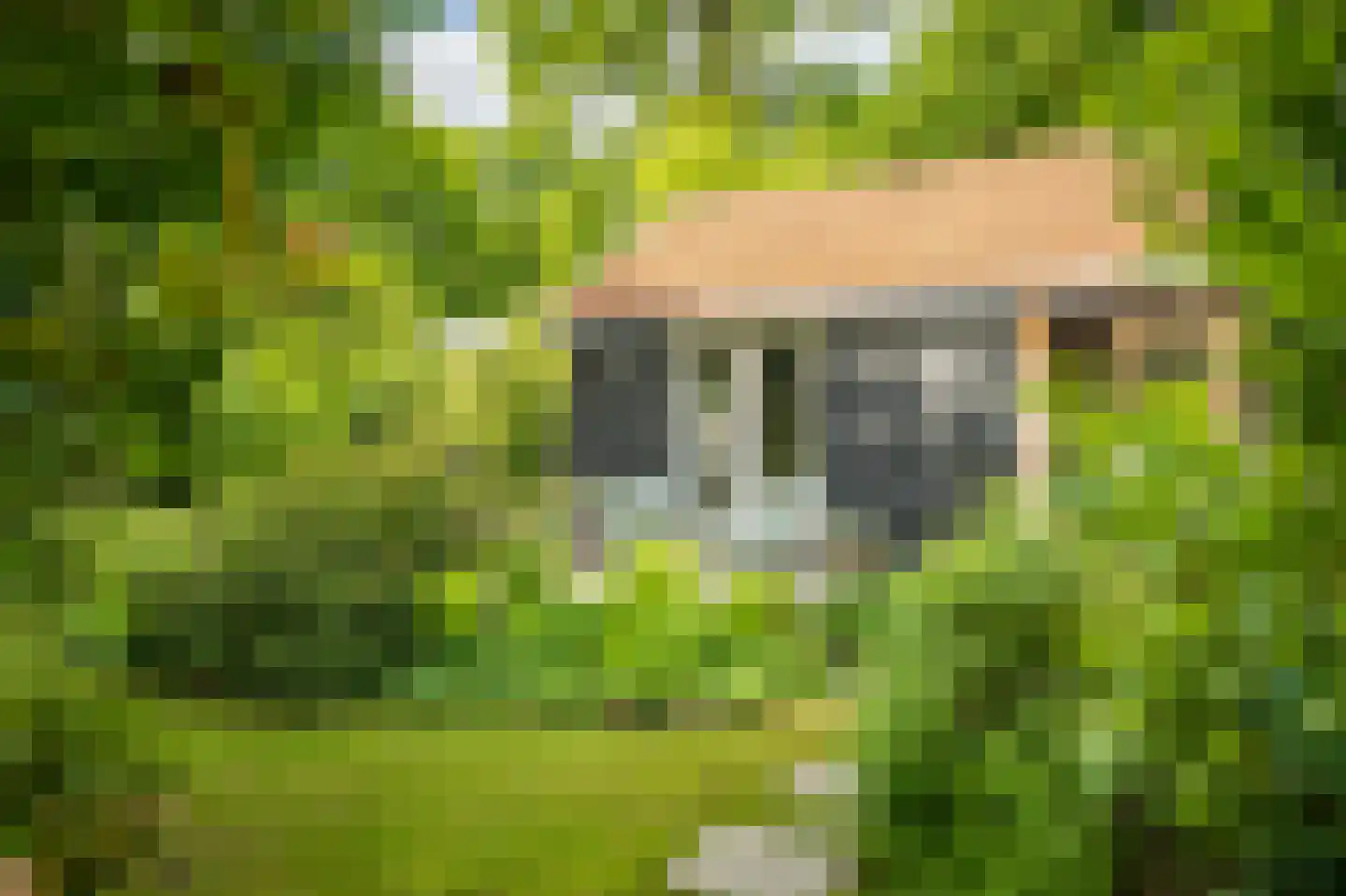 Hagedisweg 18 Epe thumbnail 43