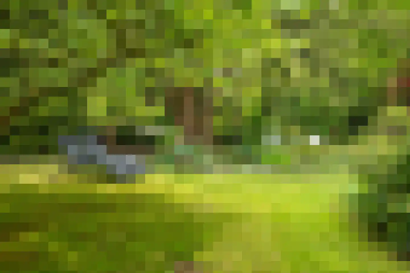 Hagedisweg 18 Epe thumbnail 44