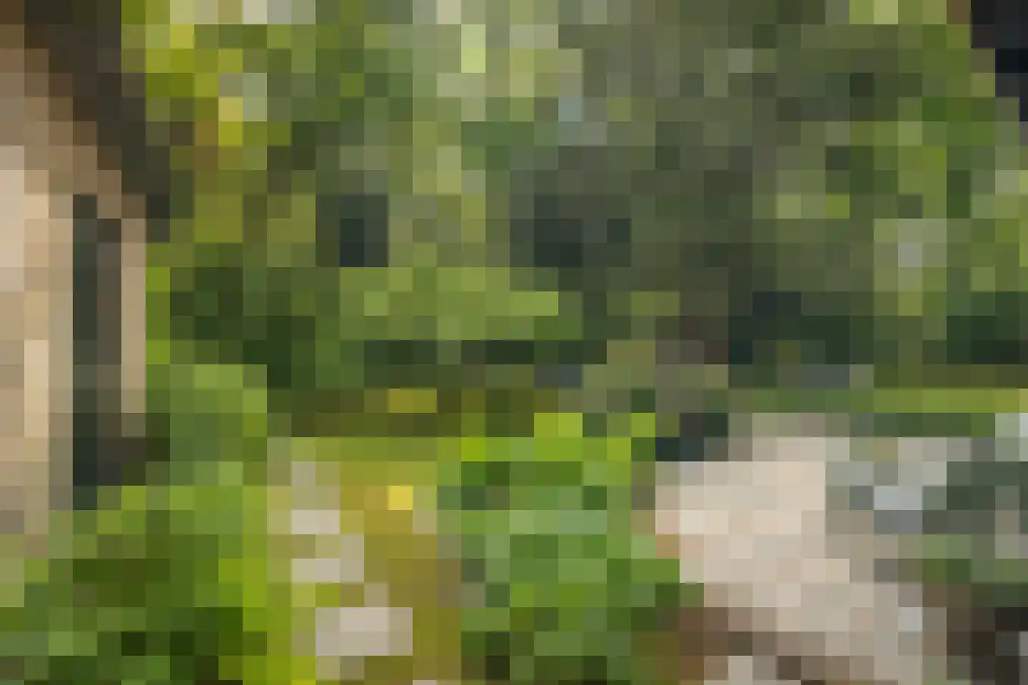 Hagedisweg 18 Epe thumbnail 45