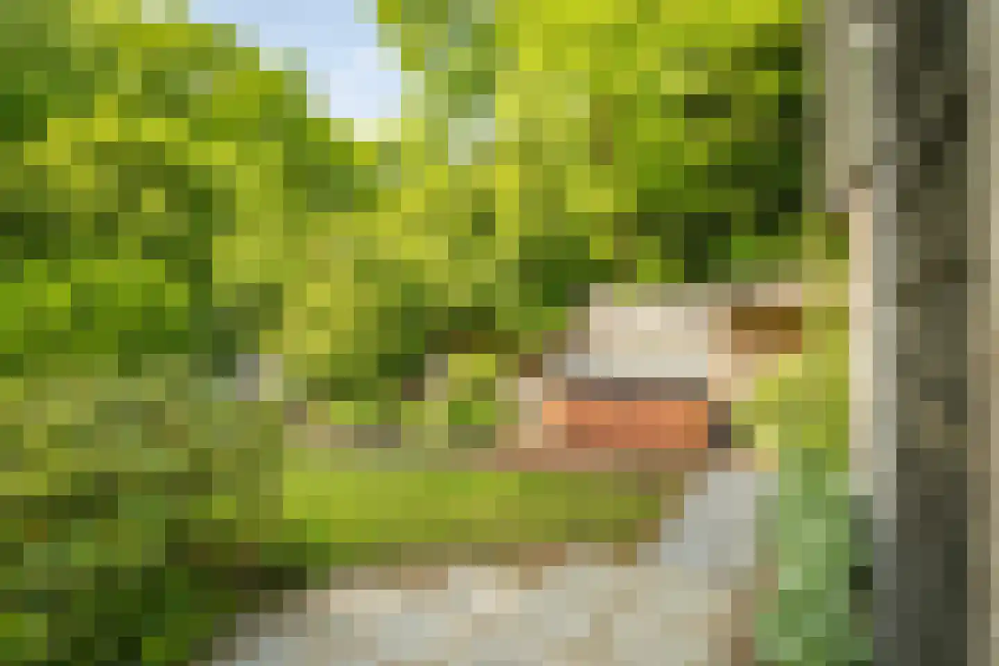 Hagedisweg 18 Epe thumbnail 46