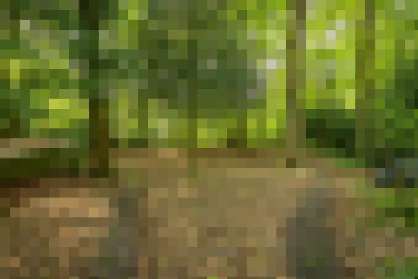 Hagedisweg 18 Epe thumbnail 48