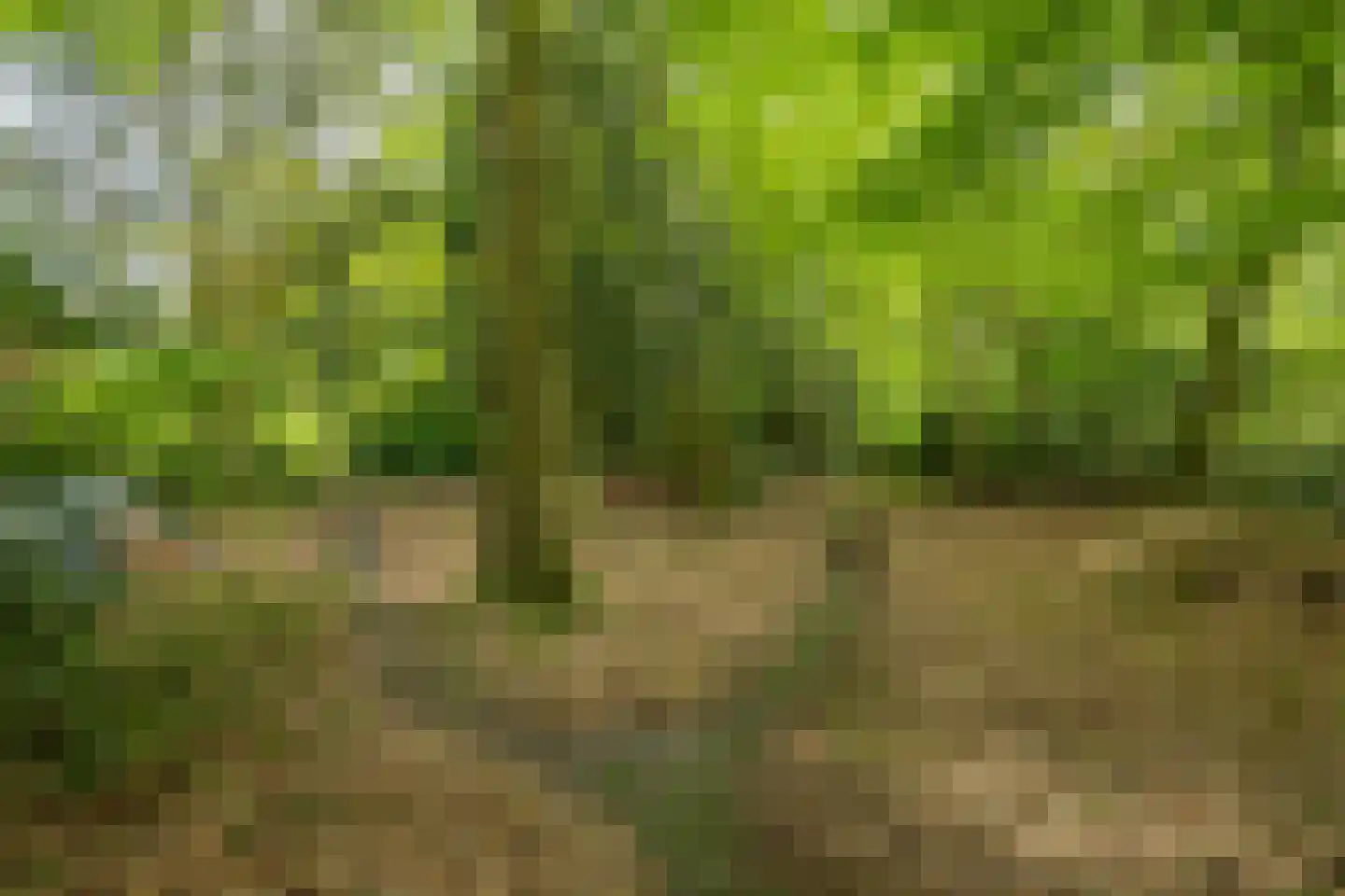 Hagedisweg 18 Epe thumbnail 49