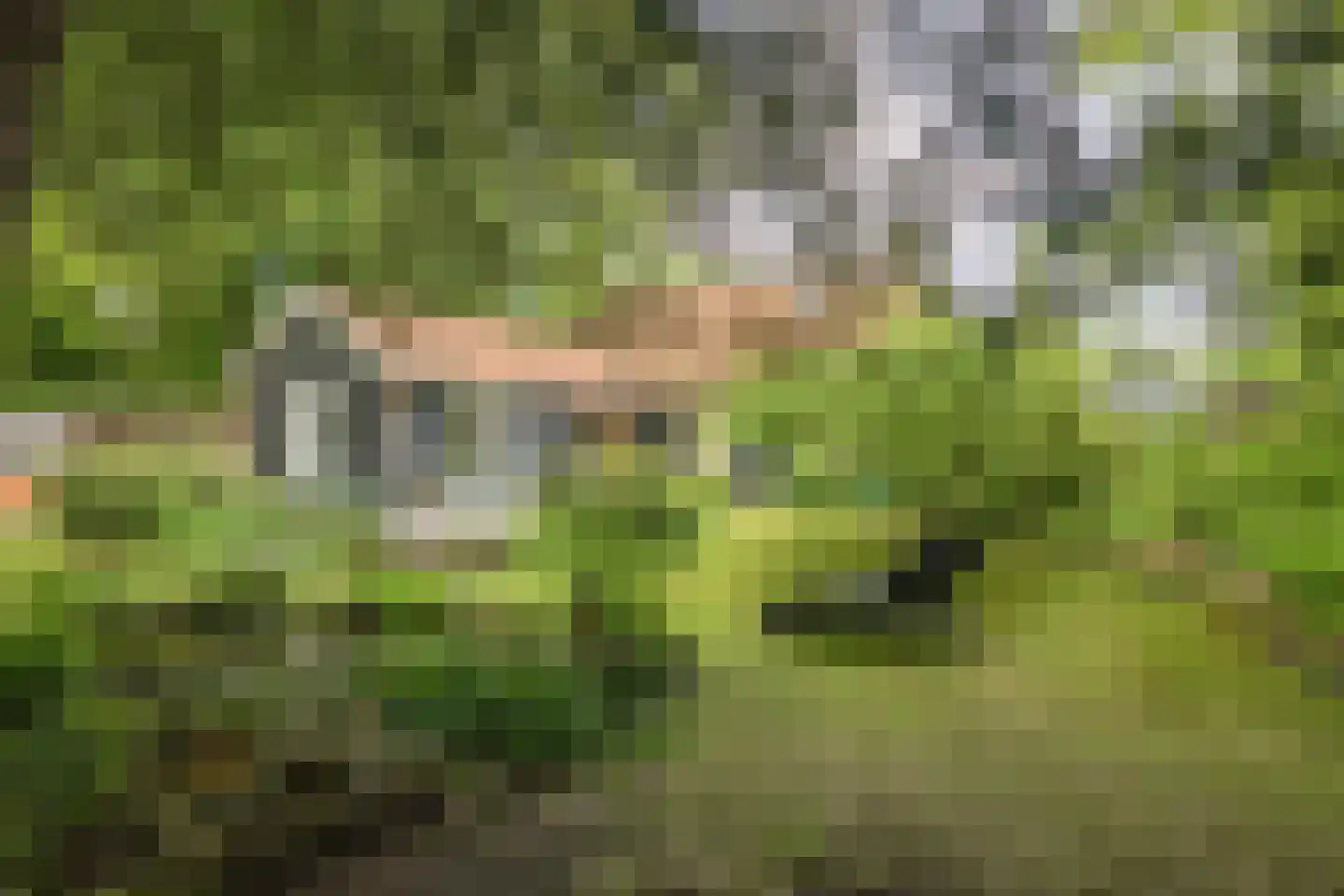Hagedisweg 18 Epe thumbnail 50