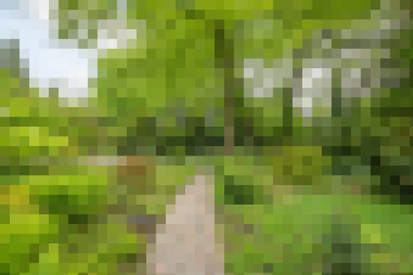 Hagedisweg 18 Epe thumbnail 51