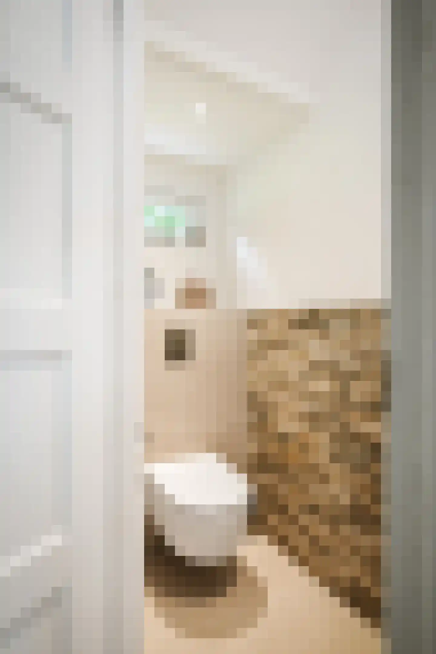 Hagedisweg 18 Epe thumbnail 53