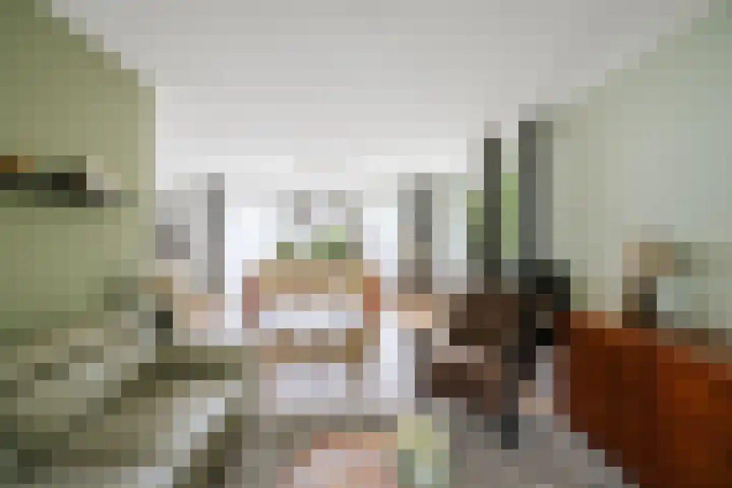 Hagedisweg 18 Epe thumbnail 6