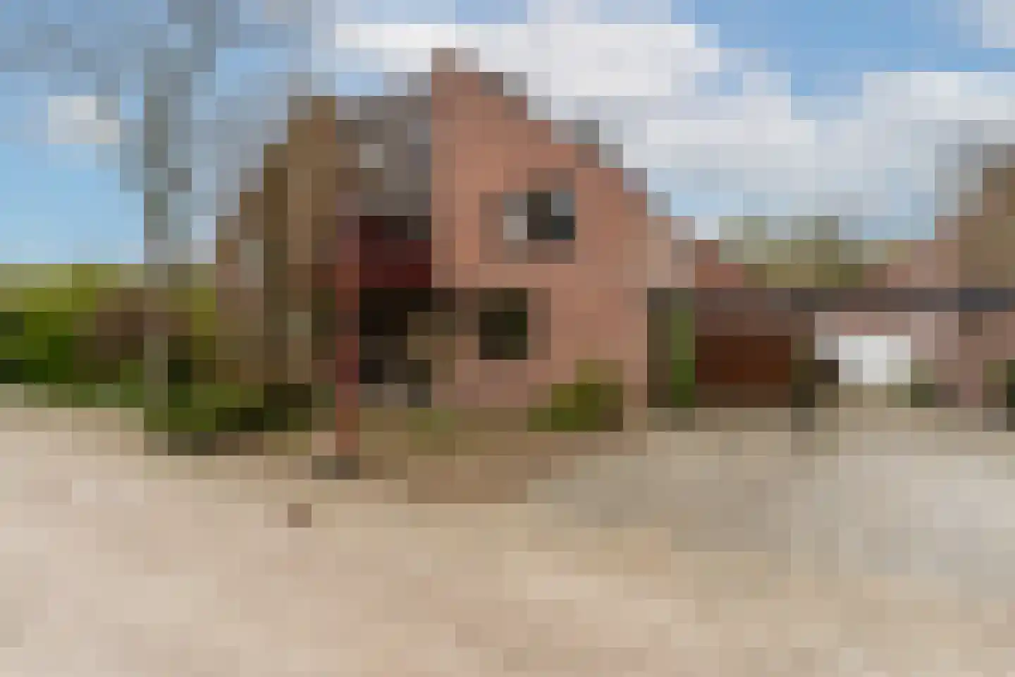 Hagedisweide 29 Nieuwegein