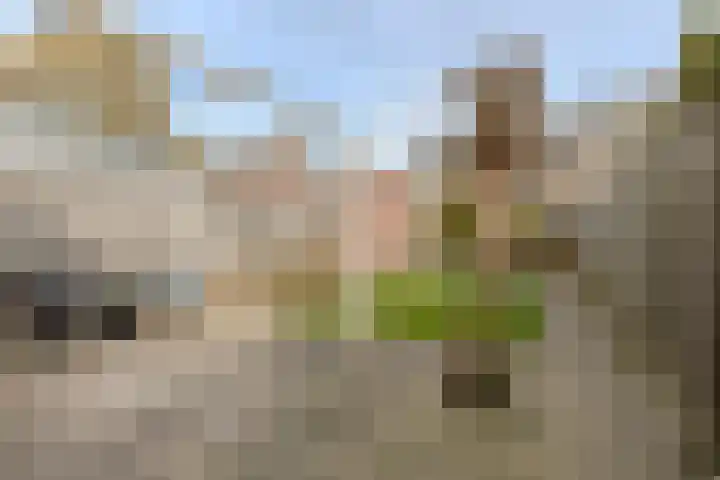 Hagedoorn 10 Heeze thumbnail 32