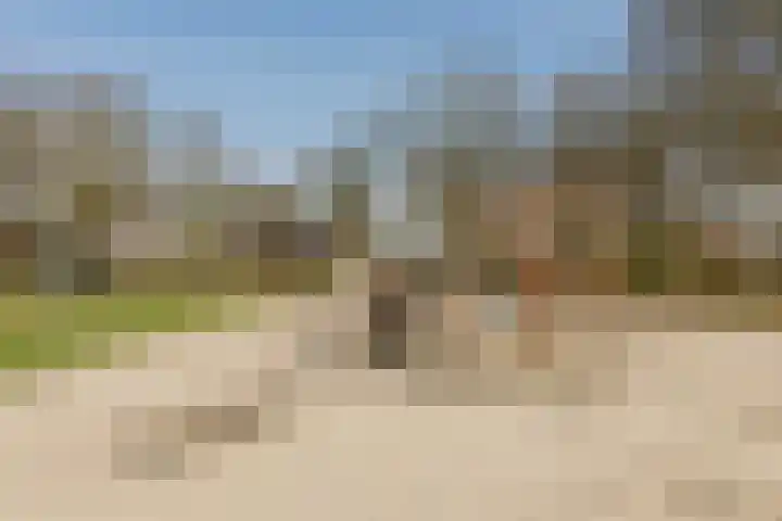 Hagedoorn 10 Heeze thumbnail 42