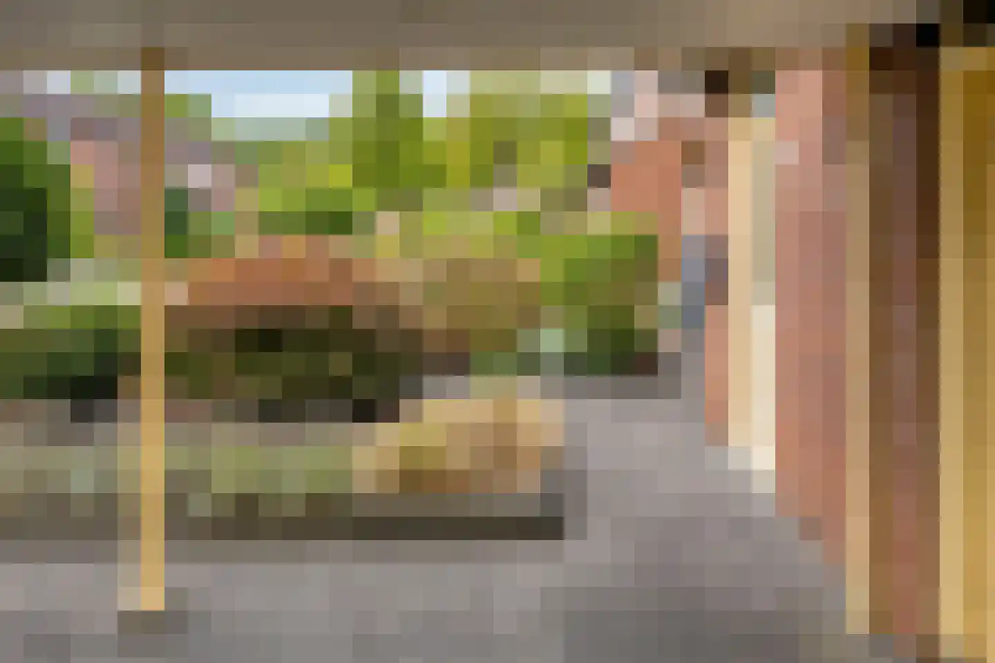 Hagedoorn 10 's-Heerenberg thumbnail 36