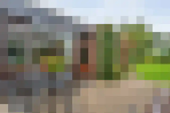 Hagedoorn 14 Emmen thumbnail 26