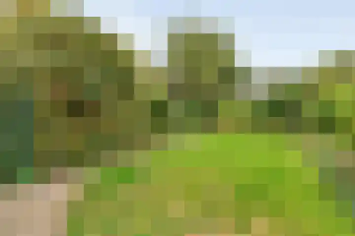 Hagedoorn 14 Emmen thumbnail 28