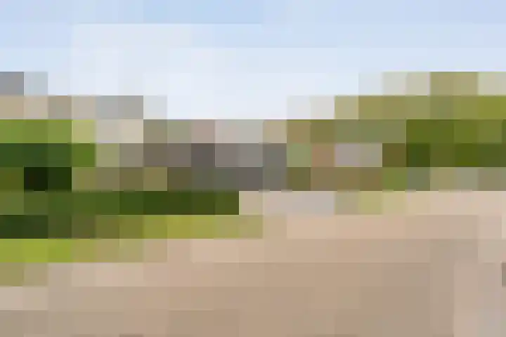 Hagedoorn 14 Emmen thumbnail 30