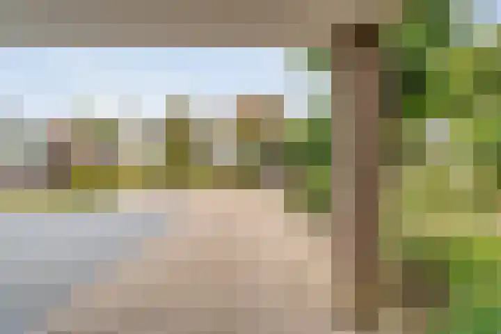 Hagedoorn 14 Emmen thumbnail 5