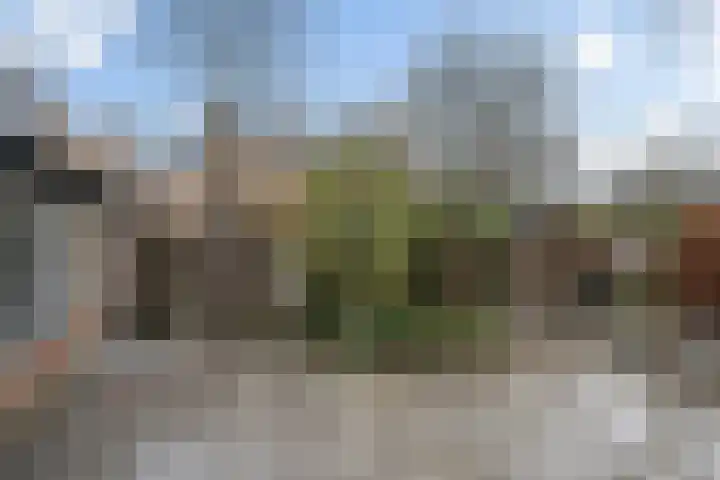 Hagedoorn 20 Maassluis thumbnail 19