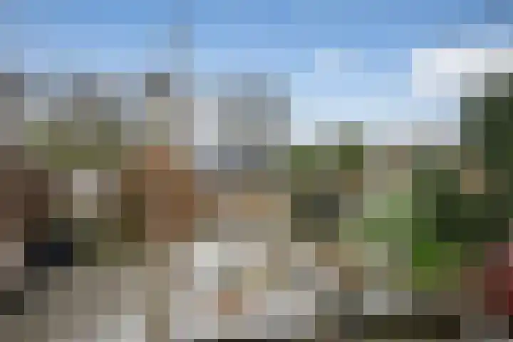 Hagedoorn 20 Maassluis thumbnail 20