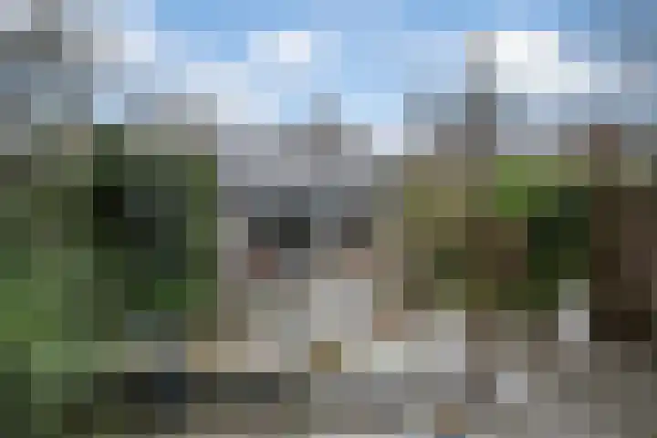 Hagedoorn 20 Maassluis thumbnail 4