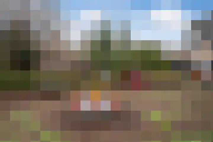 Hagedoorn 20 Maassluis thumbnail 48