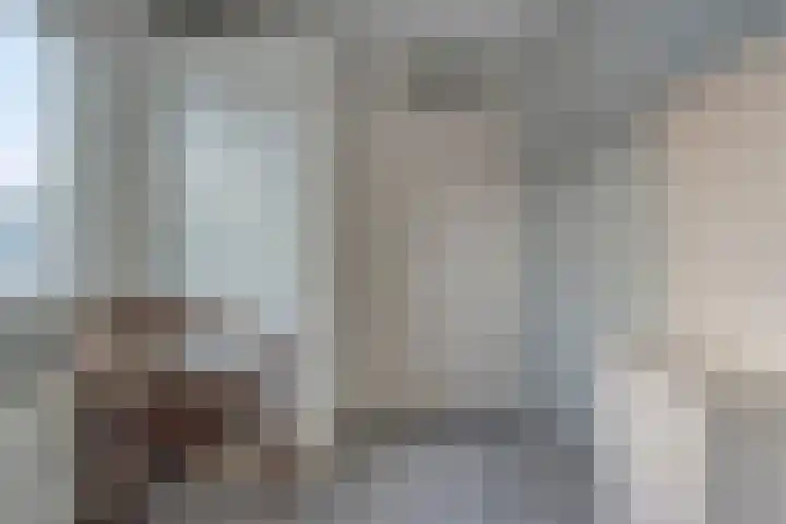 Hagedoorn 61 Emmen thumbnail 23