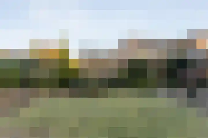 Hagedoorn 61 Emmen thumbnail 27