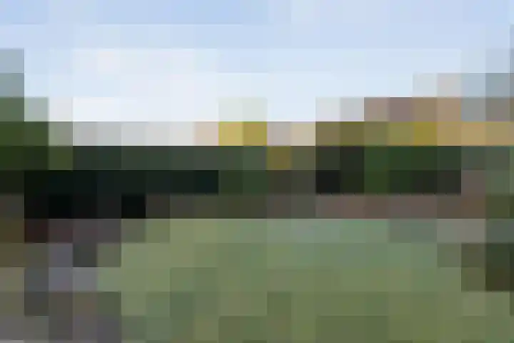 Hagedoorn 61 Emmen thumbnail 28