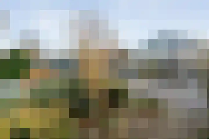 Hagedoorn 61 Emmen thumbnail 33