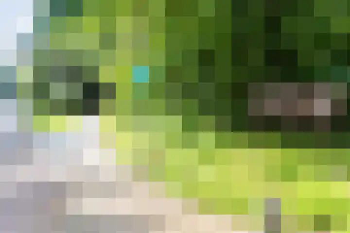 Hagedoorn 61 Emmen thumbnail 35