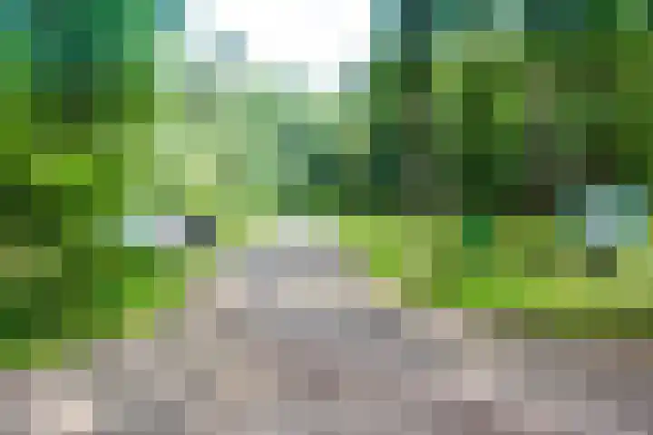 Hagedoorn 61 Emmen thumbnail 36